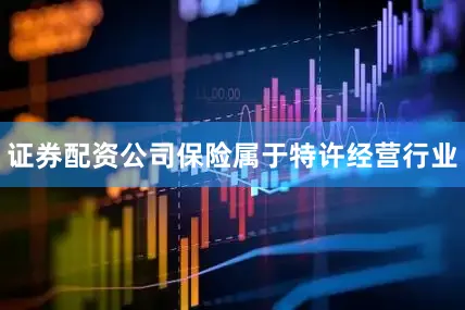 证券配资公司保险属于特许经营行业