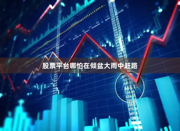 股票平台哪怕在倾盆大雨中赶路