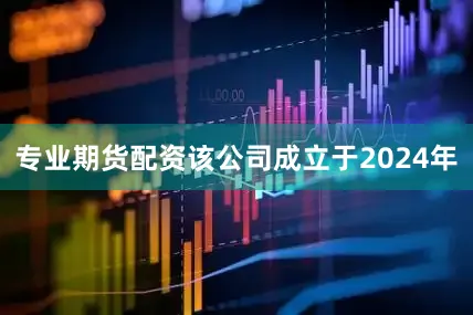 专业期货配资该公司成立于2024年