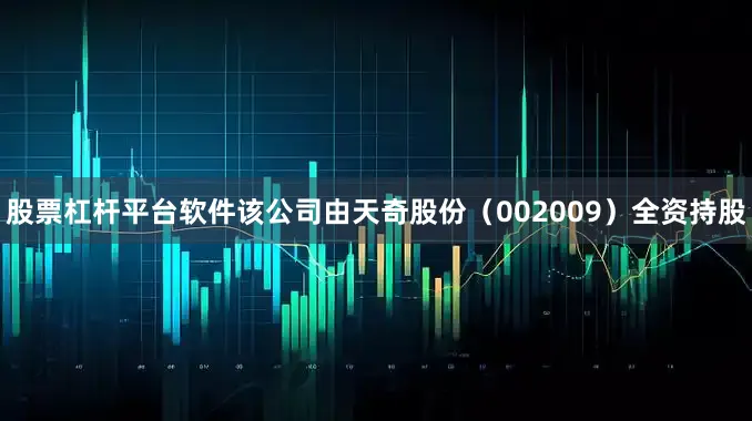股票杠杆平台软件该公司由天奇股份（002009）全资持股