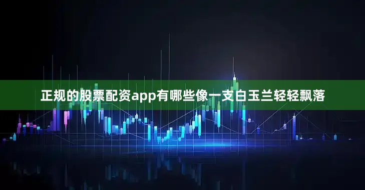 正规的股票配资app有哪些像一支白玉兰轻轻飘落